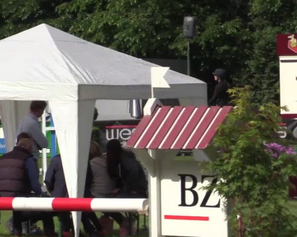 Pfingst - Dressur und Springturnier Borken 2015