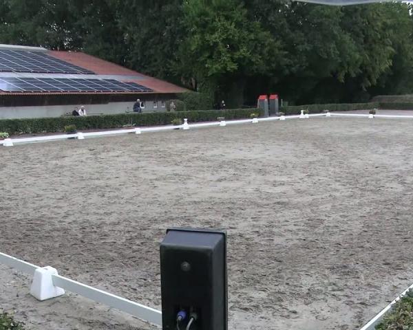 Lovasverseny Werne 2026
