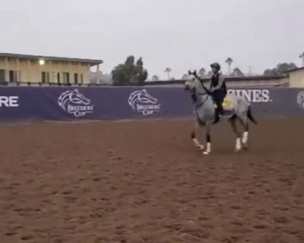 Video of Essential Quality xx