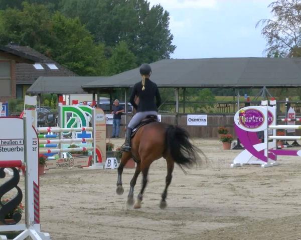 Concours Hippique Xanten - Reitanlage Miss 2026