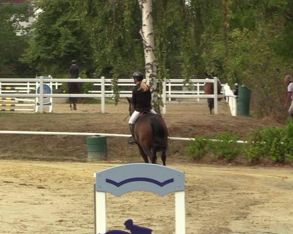 Concurso de Hipismo Werne 2026