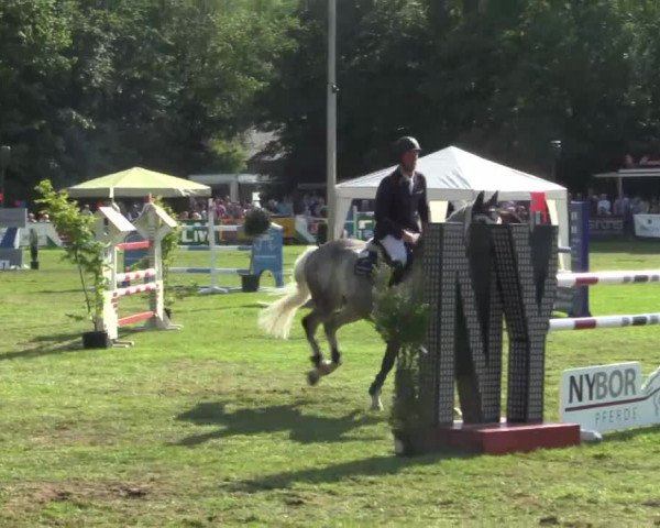 Pfingst - Dressur und Springturnier Borken 2015