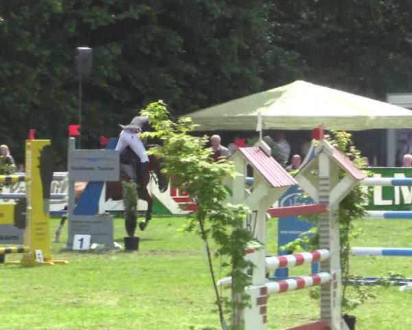 Pfingst - Dressur und Springturnier Borken 2015