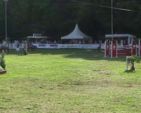 Pfingst - Dressur und Springturnier Borken 2015