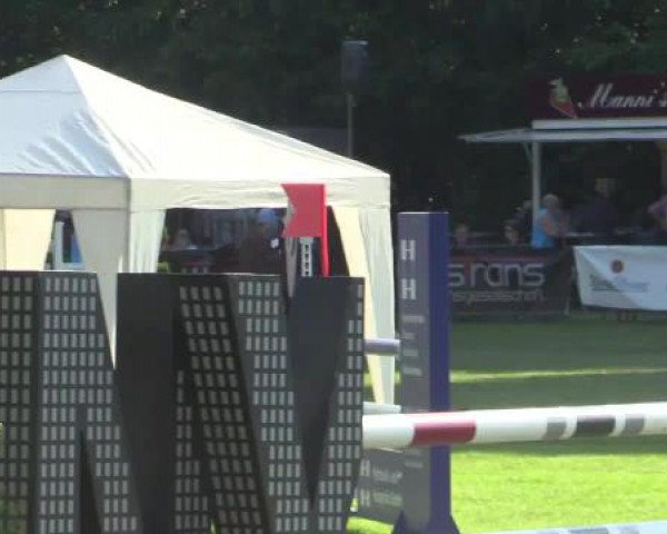 Pfingst - Dressur und Springturnier Borken 2015