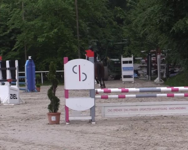 Pfingstturnier Bochum-Nord 2015