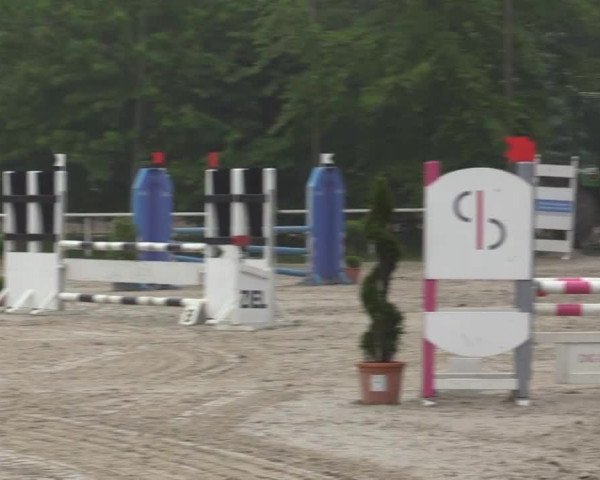 Pfingstturnier Bochum-Nord 2015
