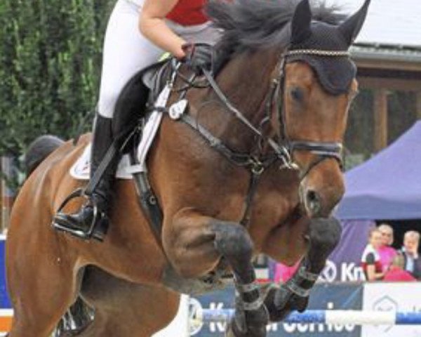 jumper Montpernasse (Westphalian, 2007, from Montendro)