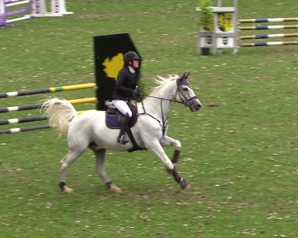 Equestrian Tournament Lengenfeld/Vogtl. 2026
