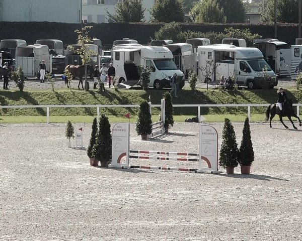 Pferdesporttage Bülach 2021