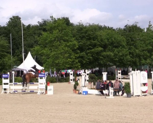 Pfingstturnier Bochum-Nord 2015