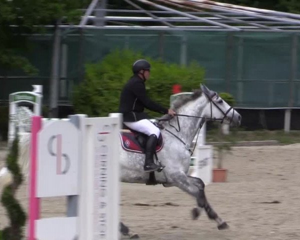 Pfingstturnier Bochum-Nord 2015
