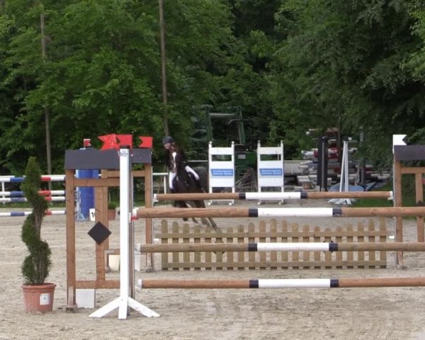 Pfingstturnier Bochum-Nord 2015
