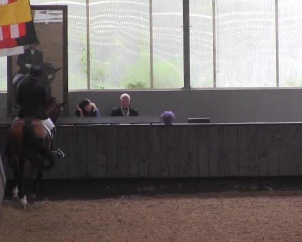Pfingstturnier Bochum-Nord 2015