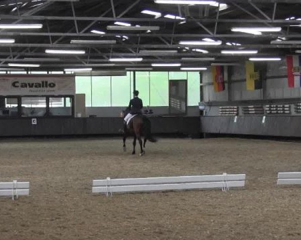 Pfingstturnier Bochum-Nord 2015