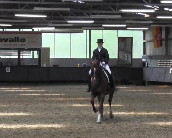 Pfingstturnier Bochum-Nord 2015