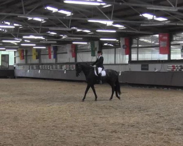 Pfingstturnier Bochum-Nord 2015
