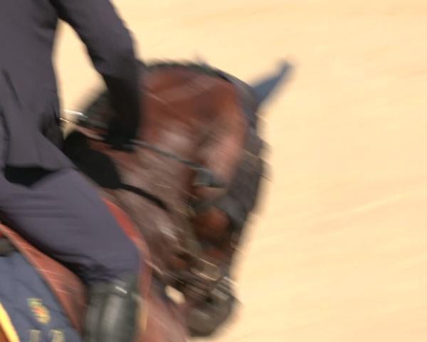 Concurso Hipico Montefalco 2026
