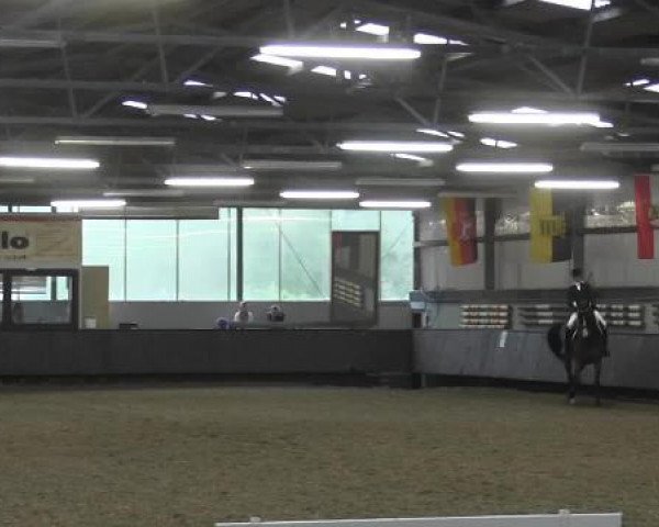 Pfingstturnier Bochum-Nord 2015