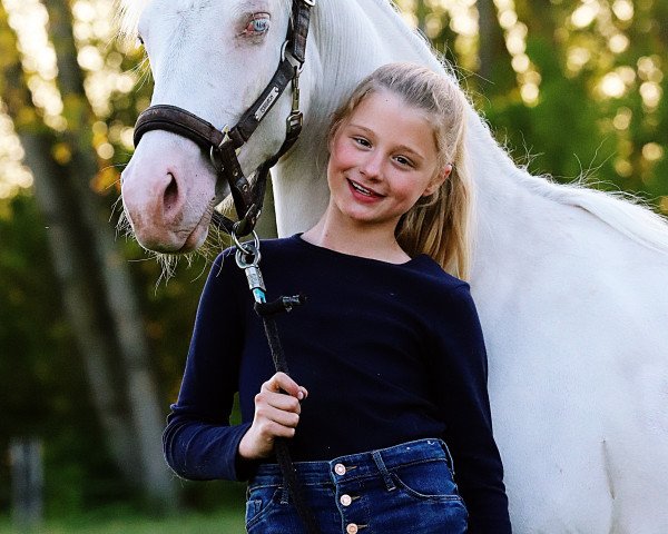 dressage horse Dreiunddreißig (German Riding Pony, 2019, from Dating AT NRW)