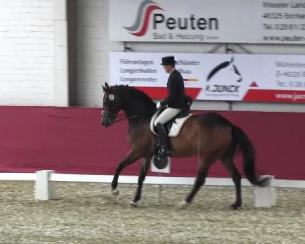 Pfingst - Dressur und Springturnier Borken 2015