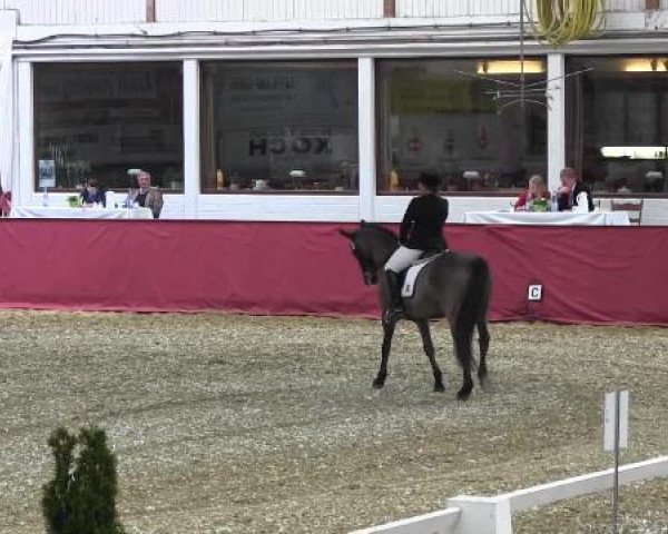 Pfingst - Dressur und Springturnier Borken 2015