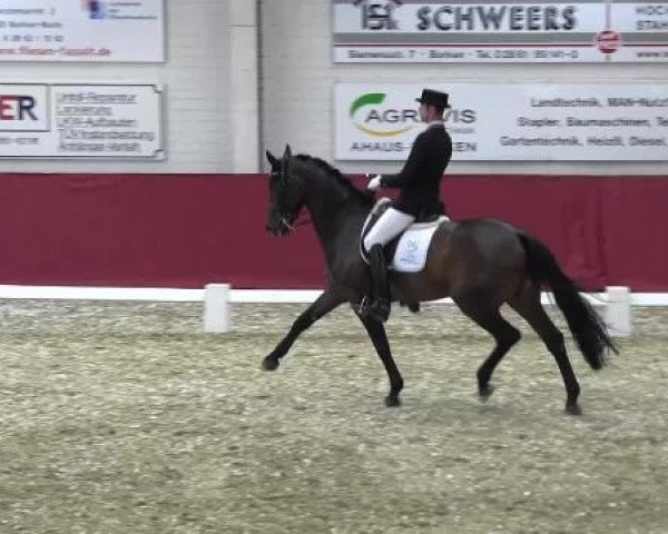 Pfingst - Dressur und Springturnier Borken 2015