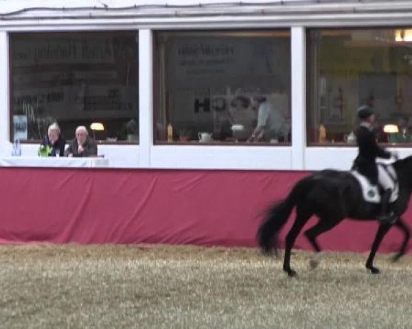 Pfingst - Dressur und Springturnier Borken 2015