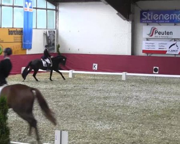 Pfingst - Dressur und Springturnier Borken 2015