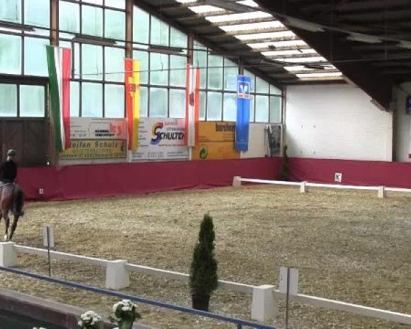 Pfingst - Dressur und Springturnier Borken 2015