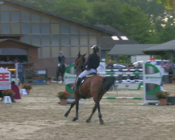 Ride turnering Xanten - Reitanlage Miss 2026
