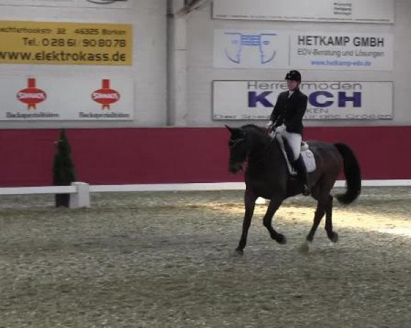 Pfingst - Dressur und Springturnier Borken 2015