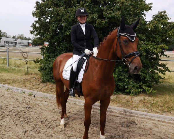 dressage horse Fleur de Finesse (Rhinelander, 2016, from Fürst Fohlenhof)