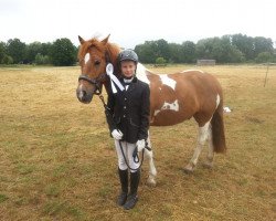 jumper Cavalino 20 (unknown, 2008)