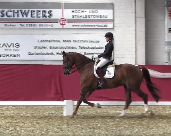Pfingst - Dressur und Springturnier Borken 2015
