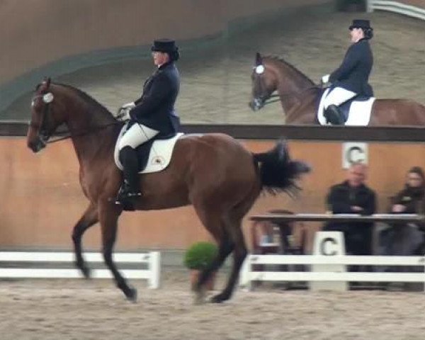 Frechen-Grefrath 2015