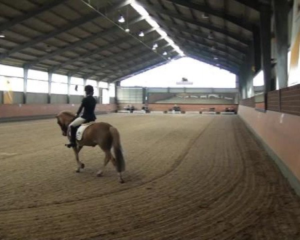 Frechen-Grefrath 2015