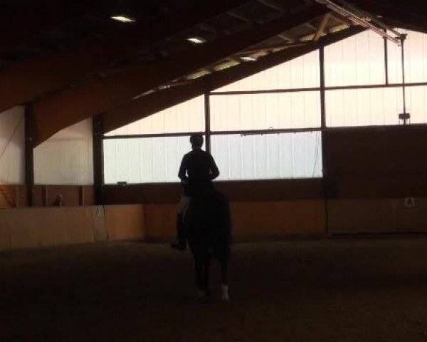 Iserlohn-Kalthof 2015