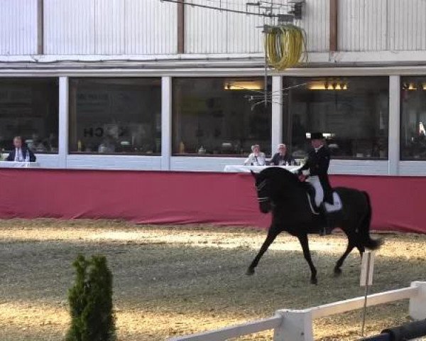 Pfingst - Dressur und Springturnier Borken 2015