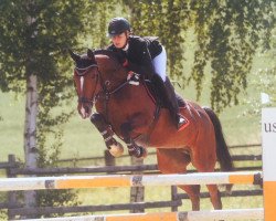 broodmare Parodie (Westphalian, 2004, from Pontifex)