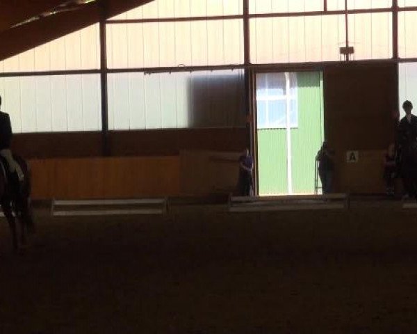Iserlohn-Kalthof 2015