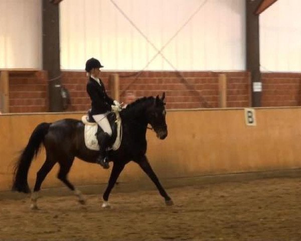 Iserlohn-Kalthof 2015