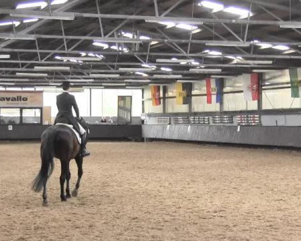 Pfingstturnier Bochum-Nord 2015