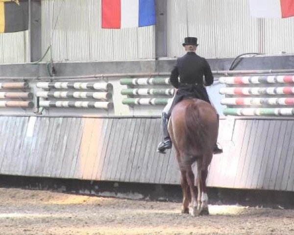 Pfingstturnier Bochum-Nord 2015