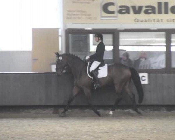 Pfingstturnier Bochum-Nord 2015
