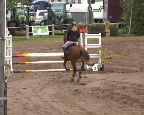 Pfingstturnier Mettingen 2015