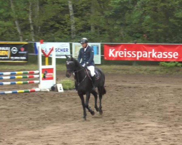 Pfingstturnier Mettingen 2015