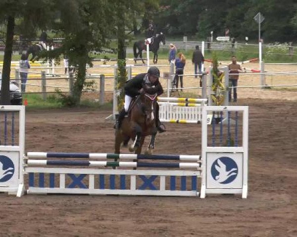Pfingstturnier Mettingen 2015