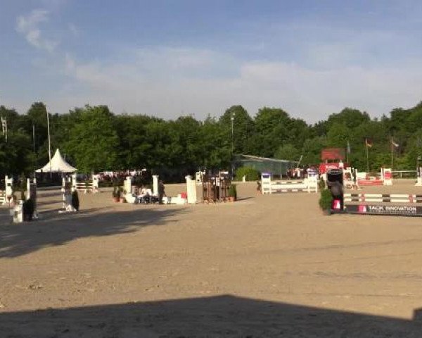Pfingstturnier Bochum-Nord 2015