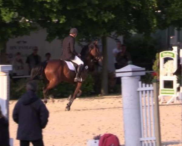 Pfingstturnier Bochum-Nord 2015